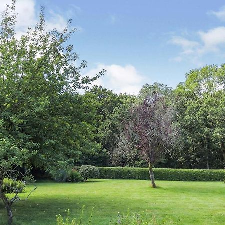 Woodland House B & B Wimborne Minster Zewnętrze zdjęcie