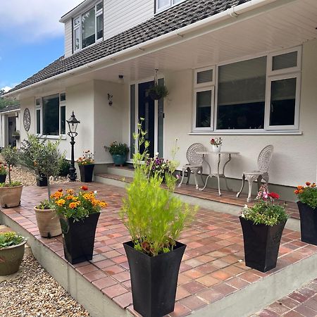 Woodland House B & B Wimborne Minster Zewnętrze zdjęcie