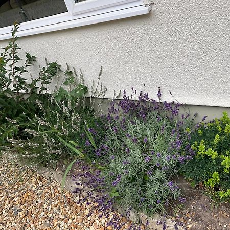 Woodland House B & B Wimborne Minster Zewnętrze zdjęcie