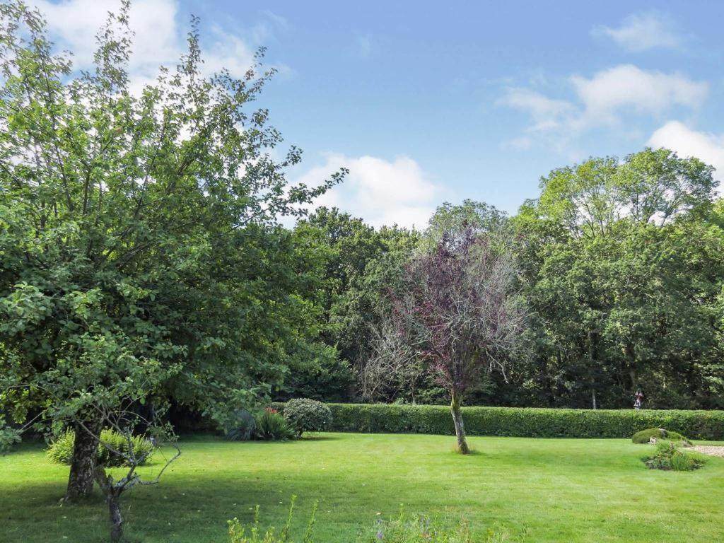 Woodland House B & B Wimborne Minster Zewnętrze zdjęcie