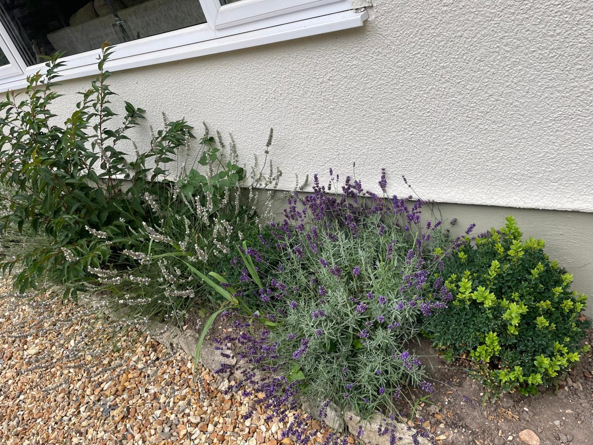 Woodland House B & B Wimborne Minster Zewnętrze zdjęcie