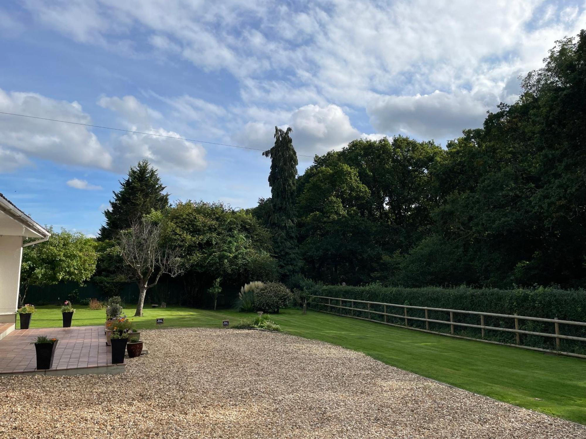 Woodland House B & B Wimborne Minster Zewnętrze zdjęcie